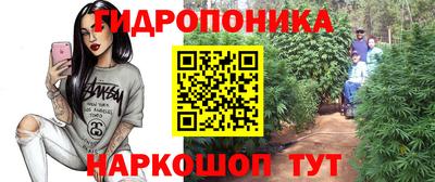 бошки Можга