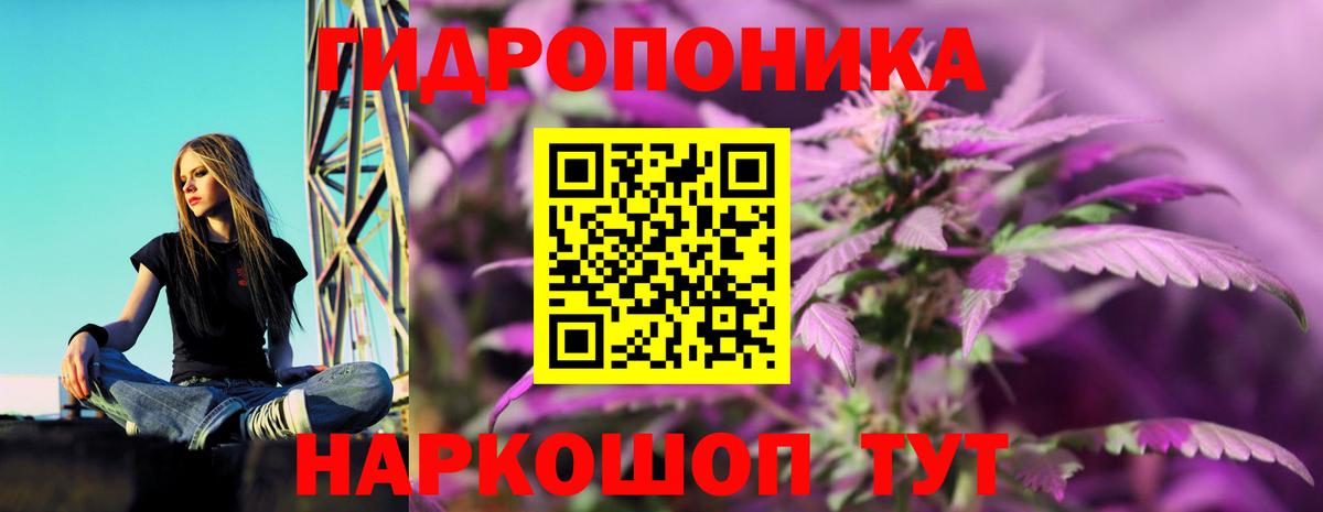 МАРИХУАНА марихуана  Бошки Шишки гибрид  МАРИХУАНА ГИДРОПОН  Алапаевск  Вход с VPN 